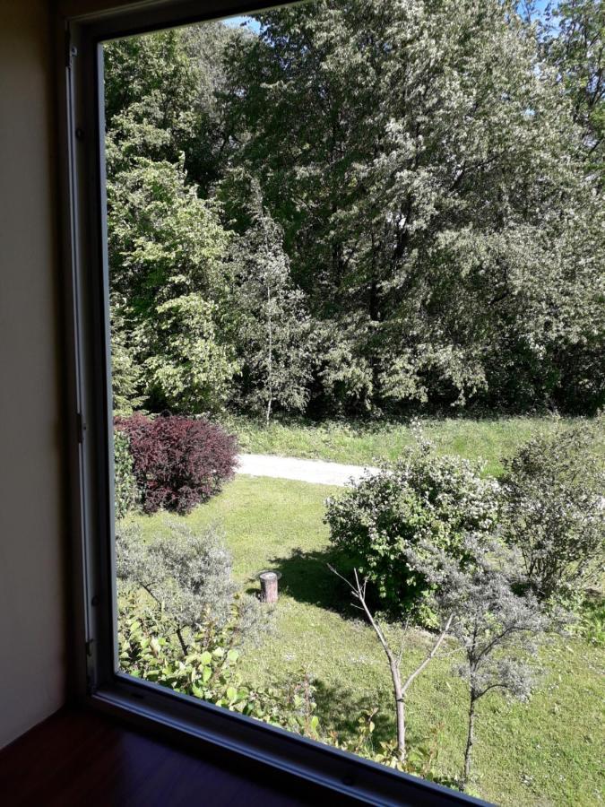 Agrohaczow Za Rzeka Apartament 8-Osobowy מראה חיצוני תמונה